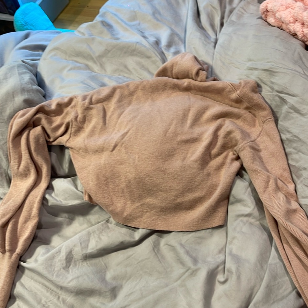 Blush turtle neck cropped sweater